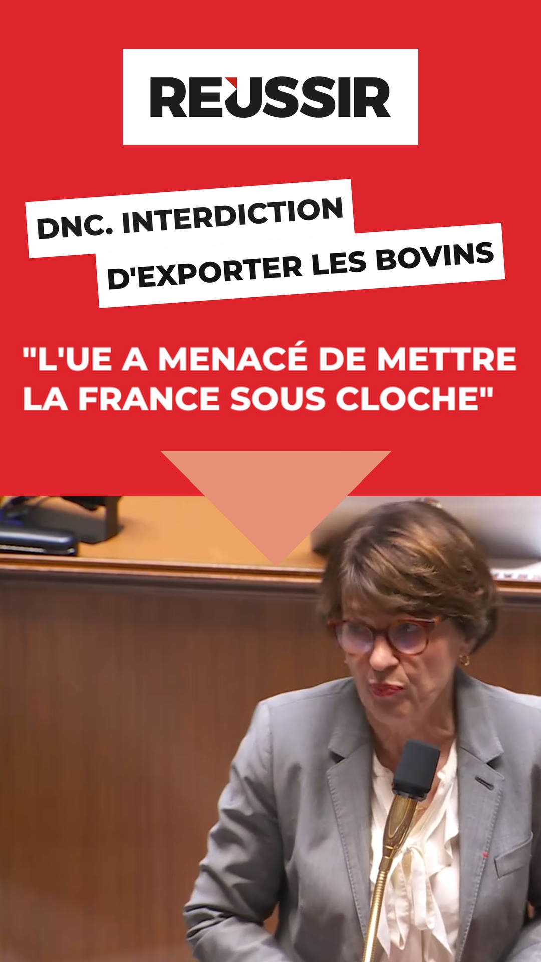 DNC : pourquoi Annie Genevard interdit l'export des bovins jusqu'au 4 novembre ?  #news