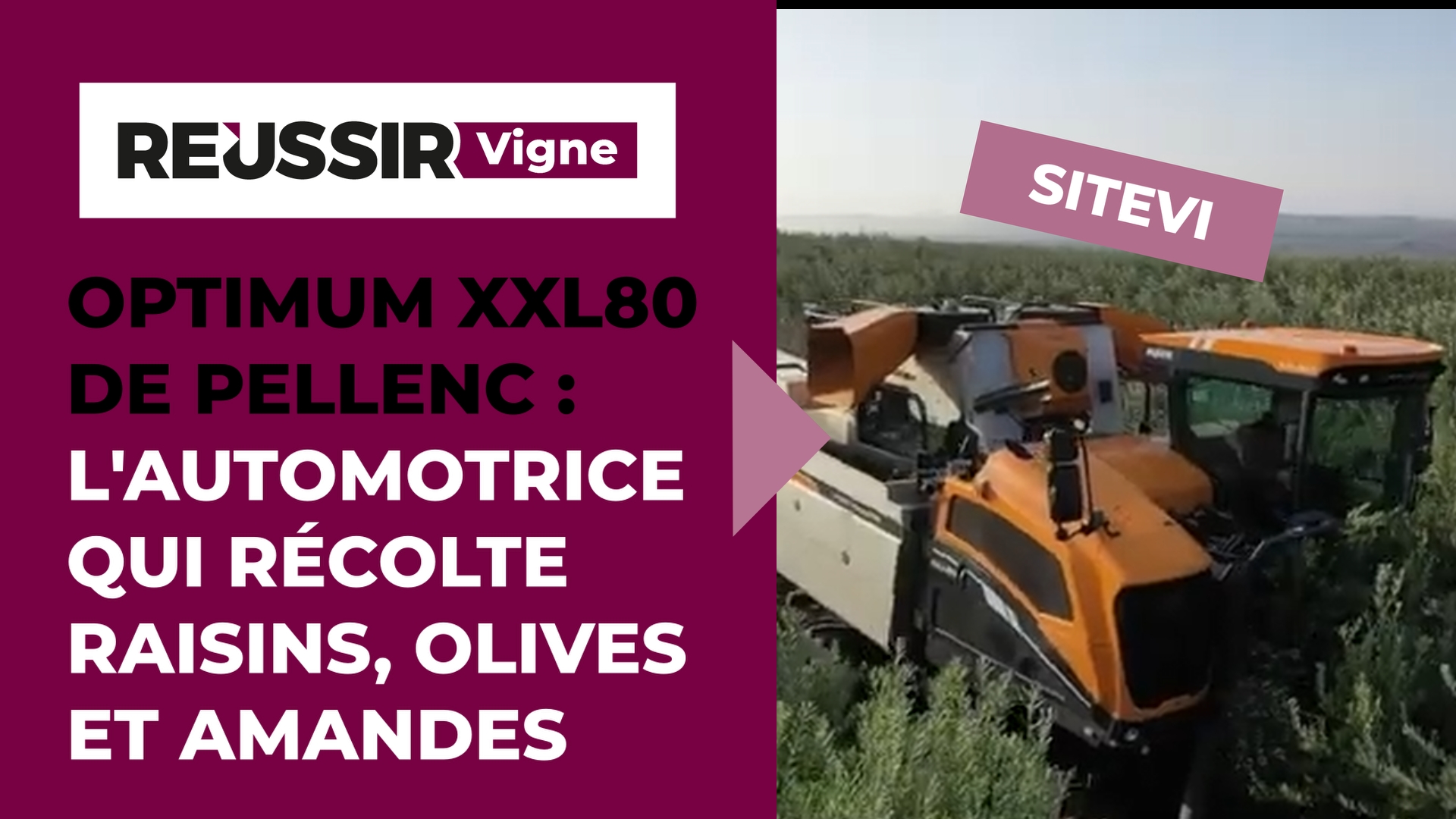 Optimum XXL80 de Pellenc : récolte des olives, amandes et raisins, et taille des haies fruitières