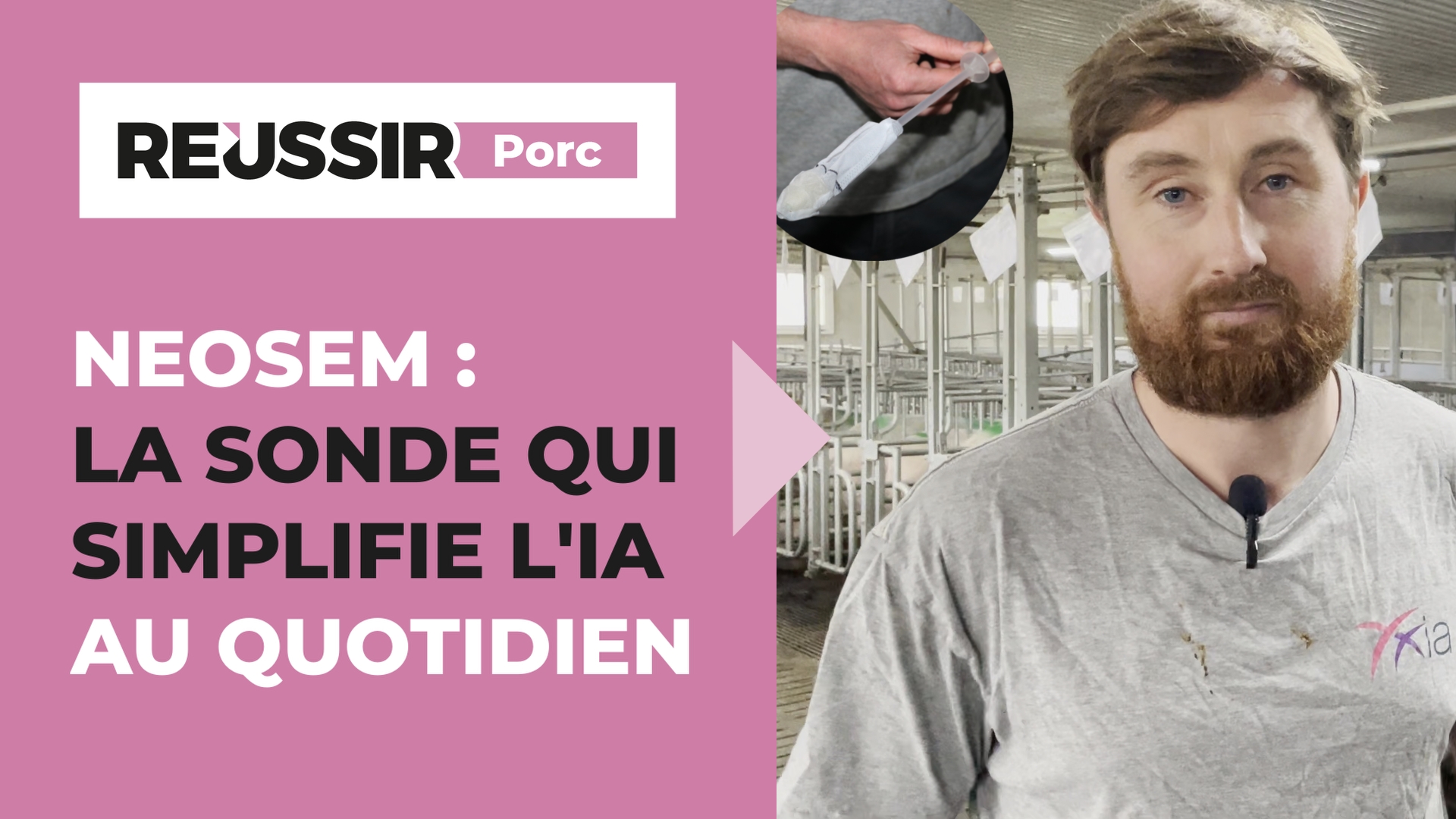 NEOSEM : la sonde qui simplifie l'IA au quotidien