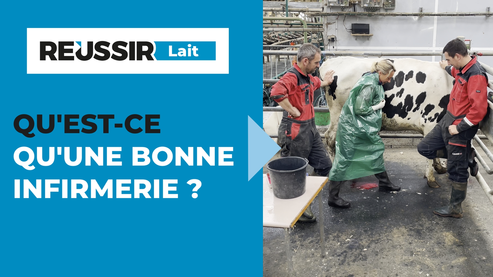 Créer une bonne infirmerie à la ferme : les 5 points essentiels à connaître avant de se lancer