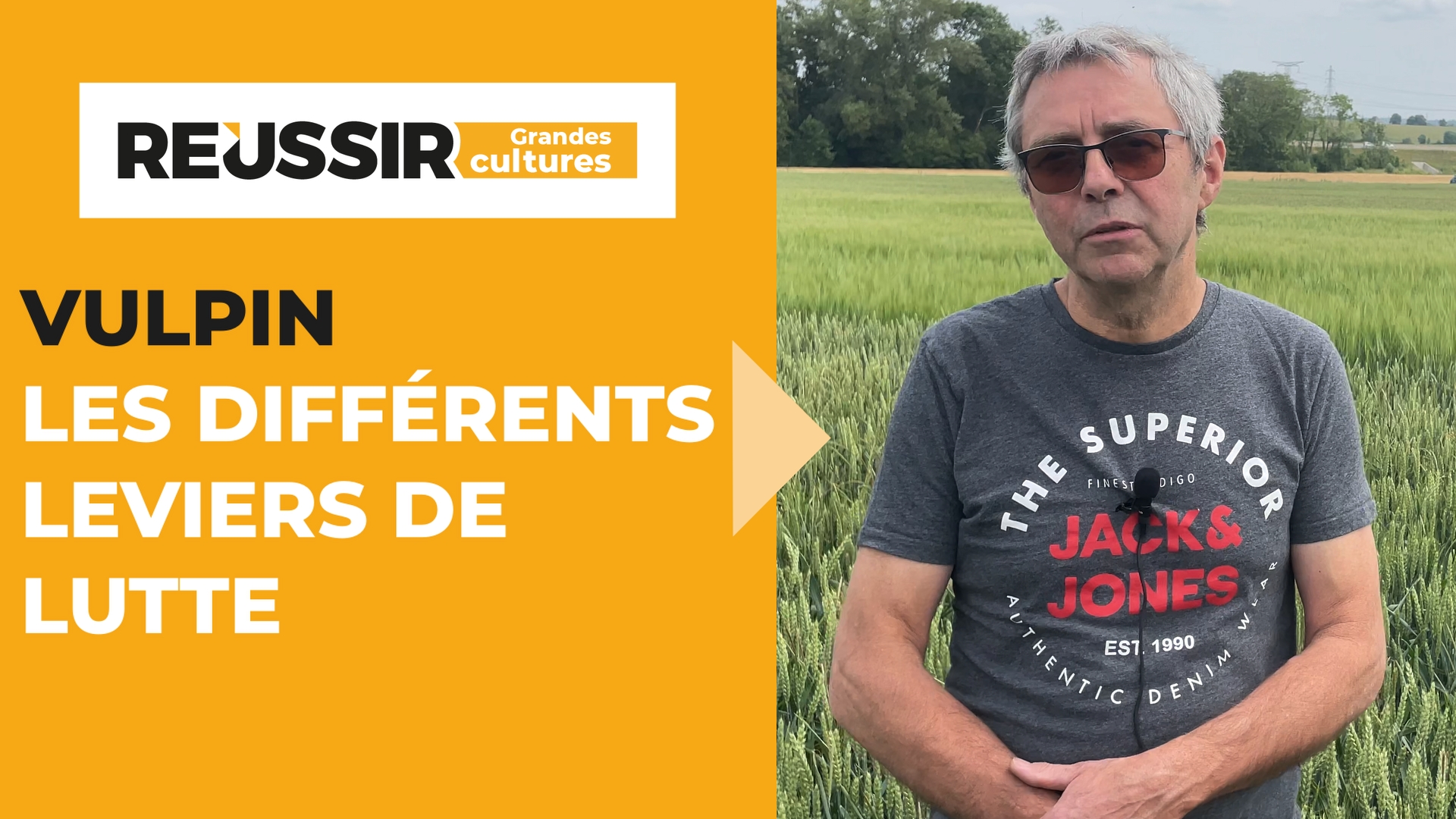 Vulpin : les différents leviers de lutte