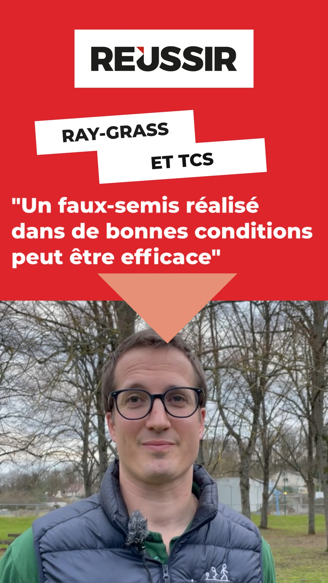 Ray-grass : quels leviers efficaces en TCS ?