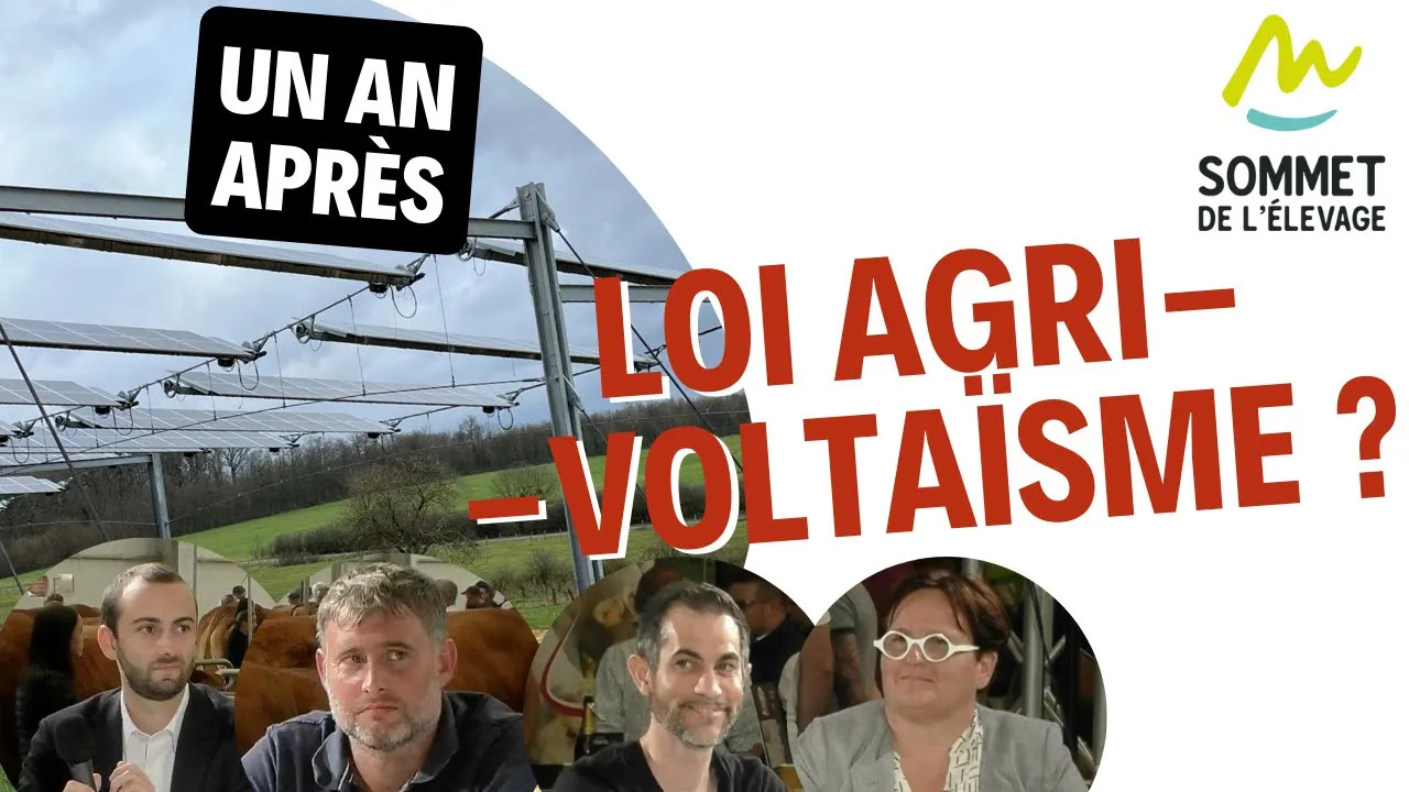 Quel est le bilan de la loi sur l'agrivoltaïsme ?