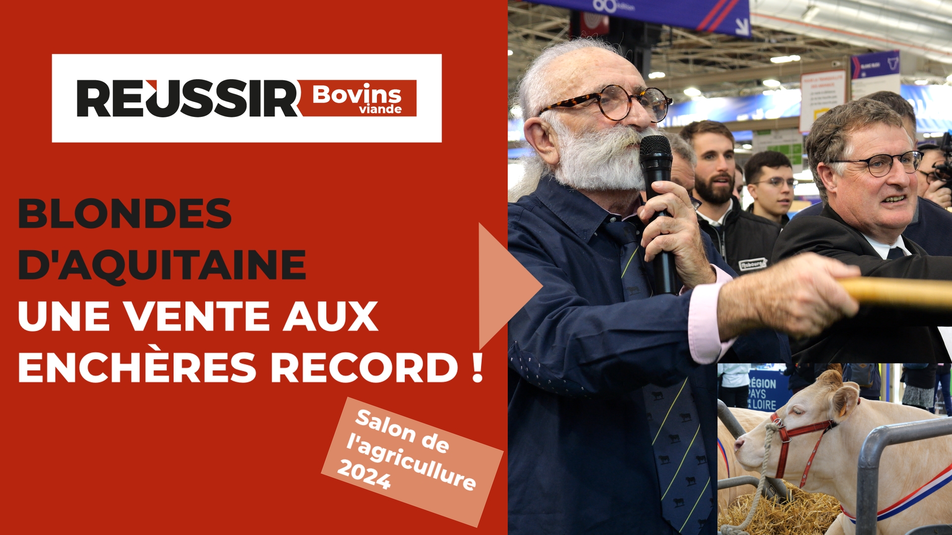 Blondes d'Aquitaine au Salon de l'agriculture : une vente aux enchères record !