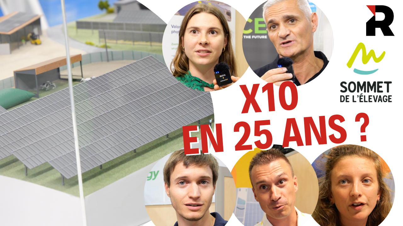 x10 sur le photovoltaïque d'ici 2050 : utopique ou réaliste ? [Micro-trottoir]