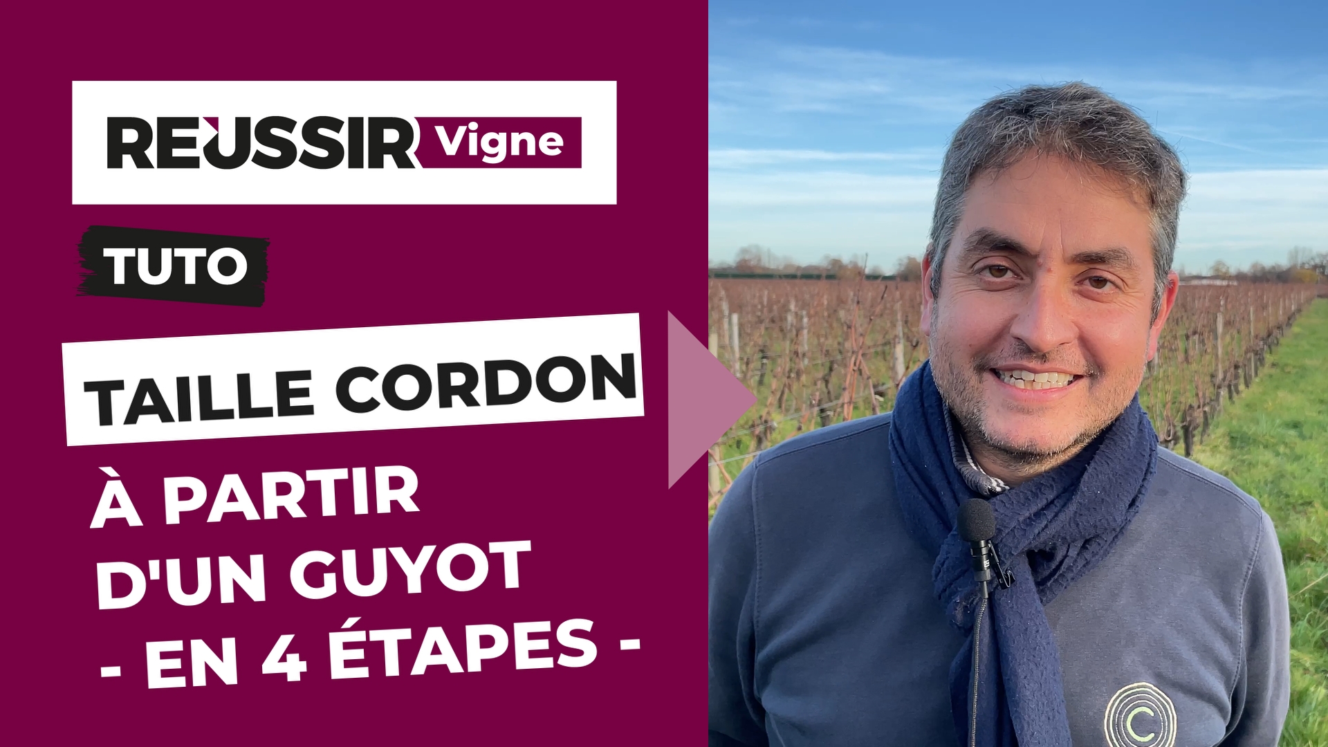 Les 4 étapes pour passer d'une taille guyot à une taille en cordon - Les tutoriels Réussir